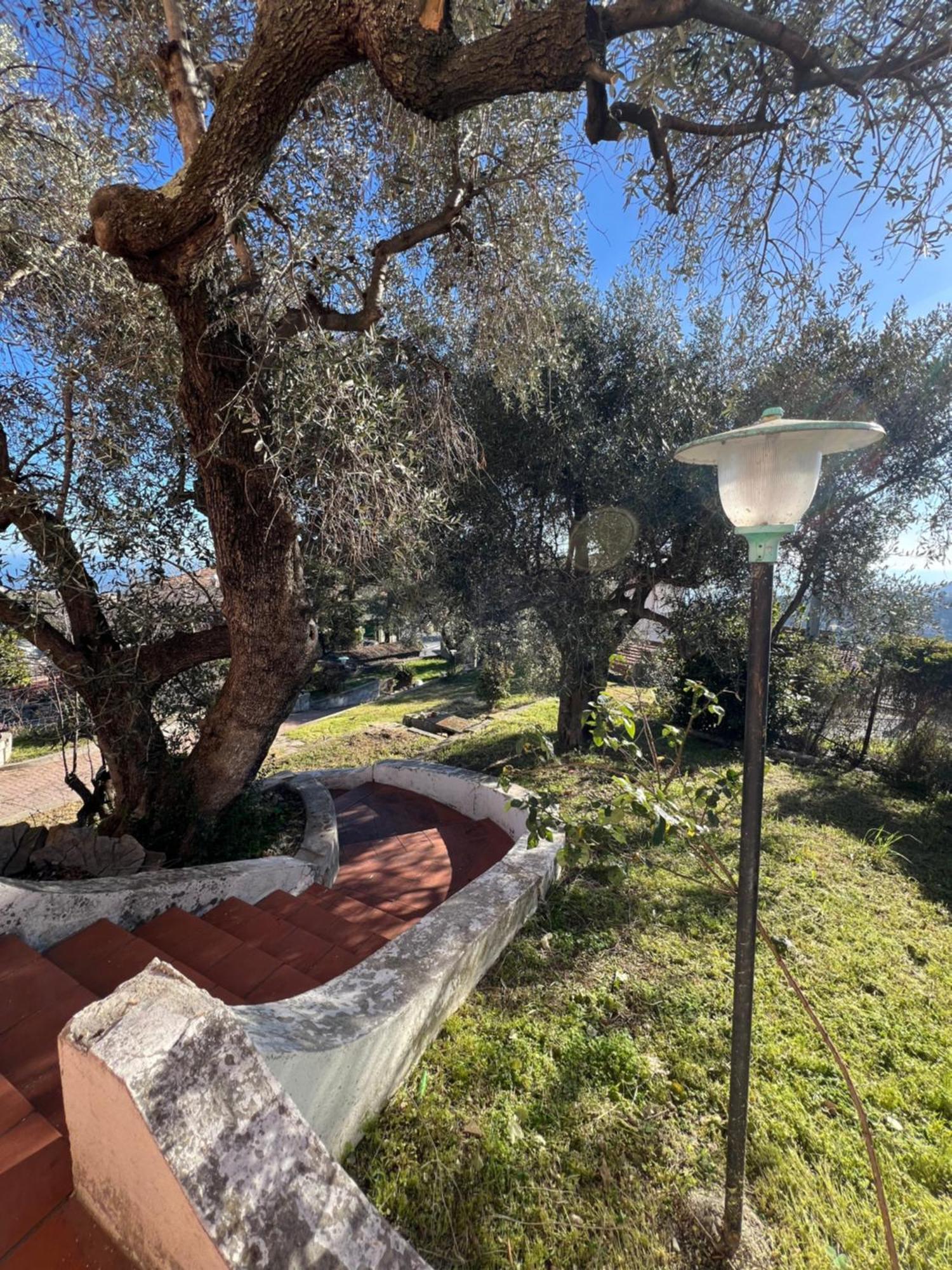 סנרמו Villa In Collina Vista Mare מראה חיצוני תמונה
