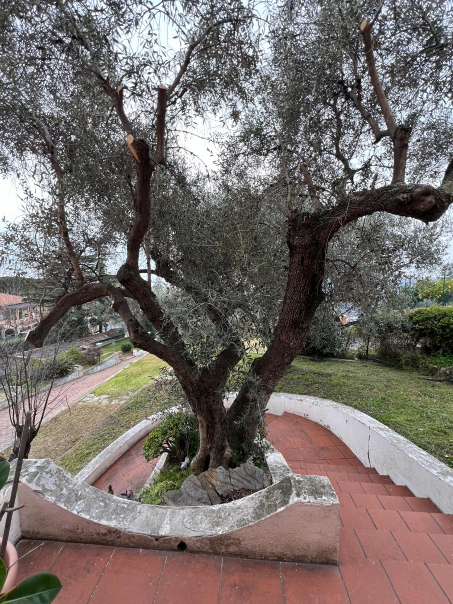 סנרמו Villa In Collina Vista Mare מראה חיצוני תמונה