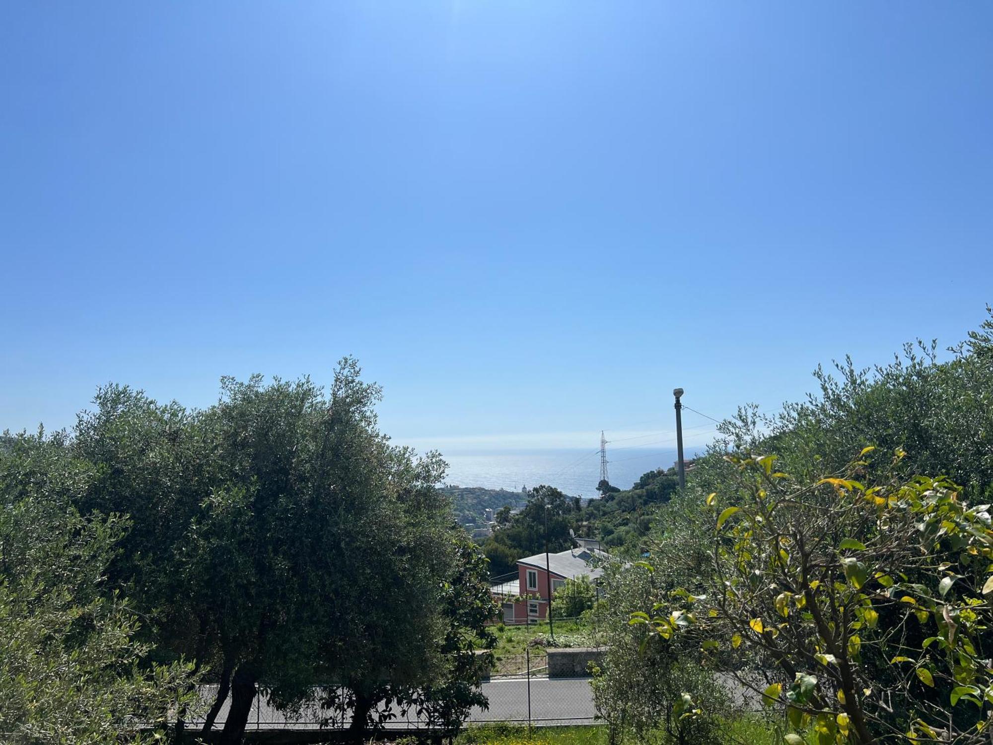 סנרמו Villa In Collina Vista Mare מראה חיצוני תמונה